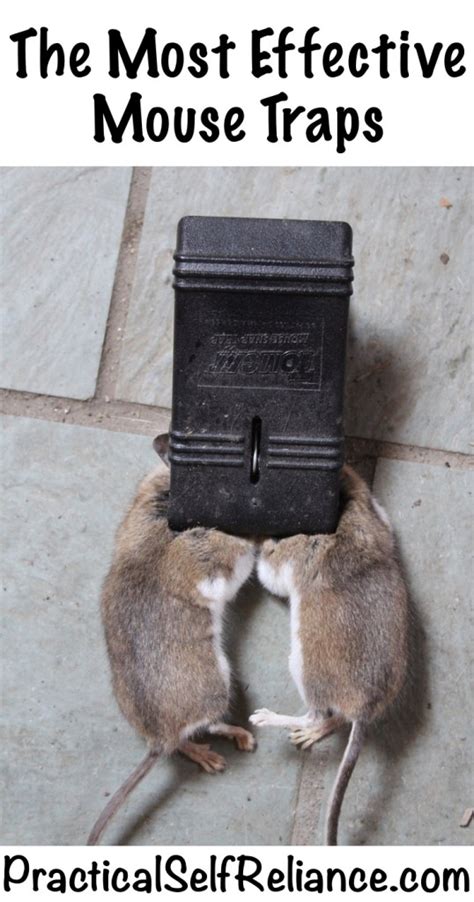 self contained mouse traps